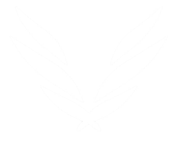 loader image